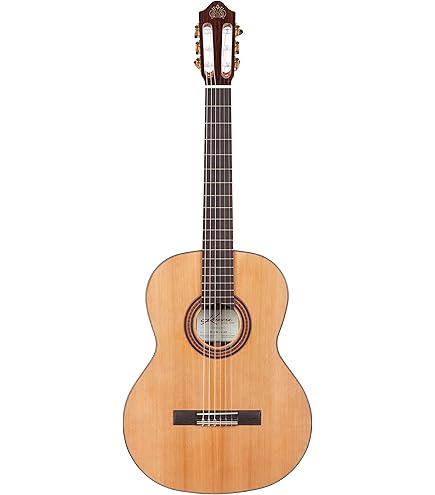 Amazon.com: Kremona Soloist S65C Full-Size Beginner Nylon String